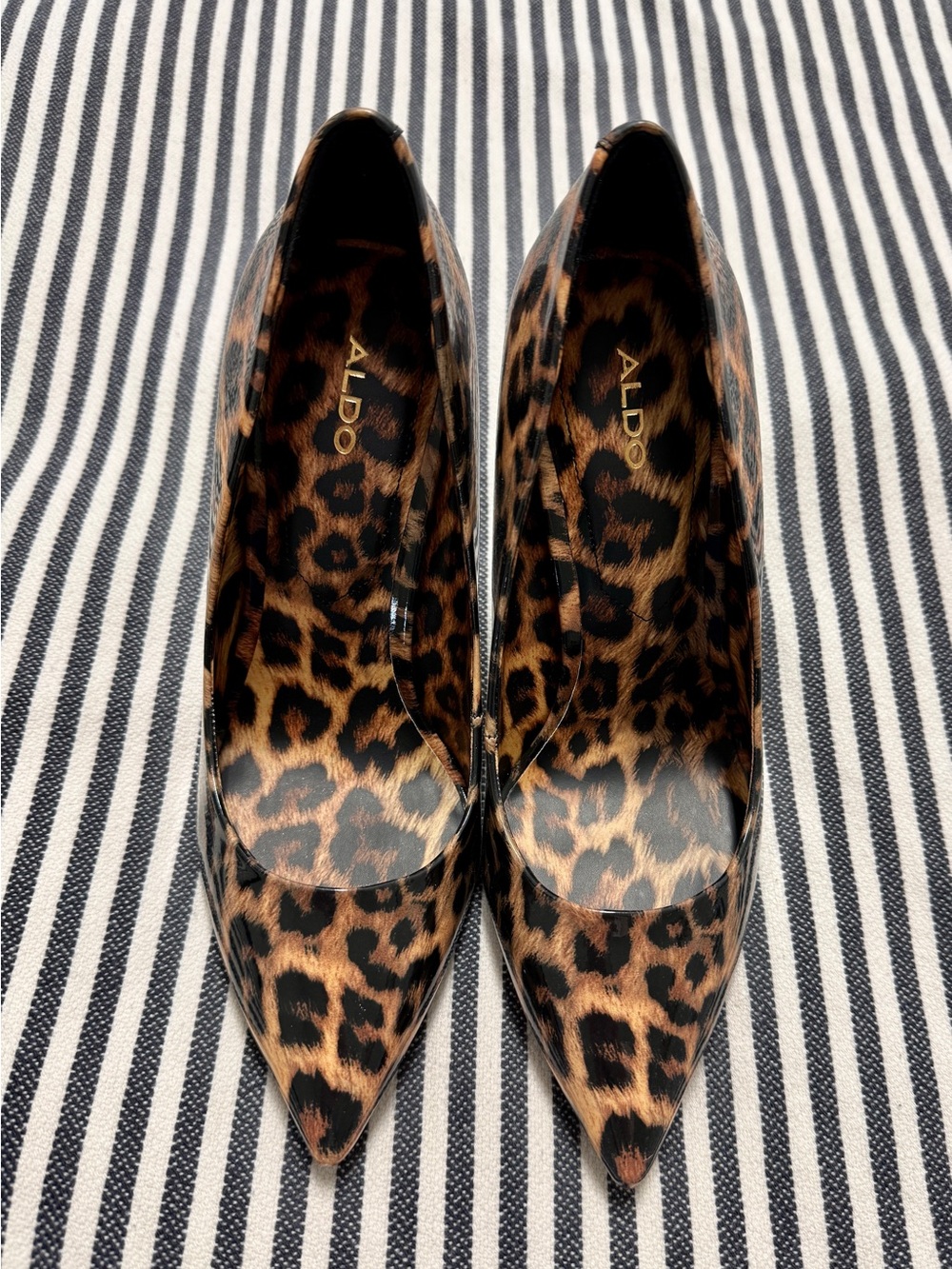 ALDO “Stessy” Leopard Print Pointed-Toe Stilettos